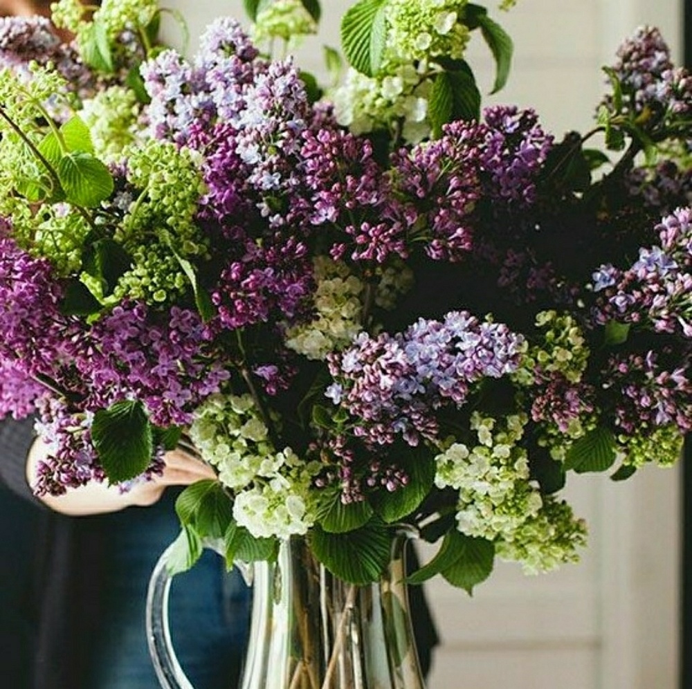 Meet your Posher, Kathleen